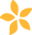 RipSkirt Australia logo